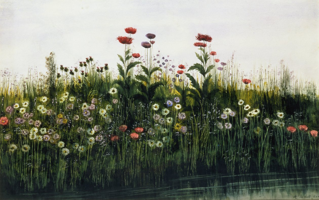 Mohnblumen, Gänseblümchen und Disteln an einem Flussufer von Andrew Nicholl