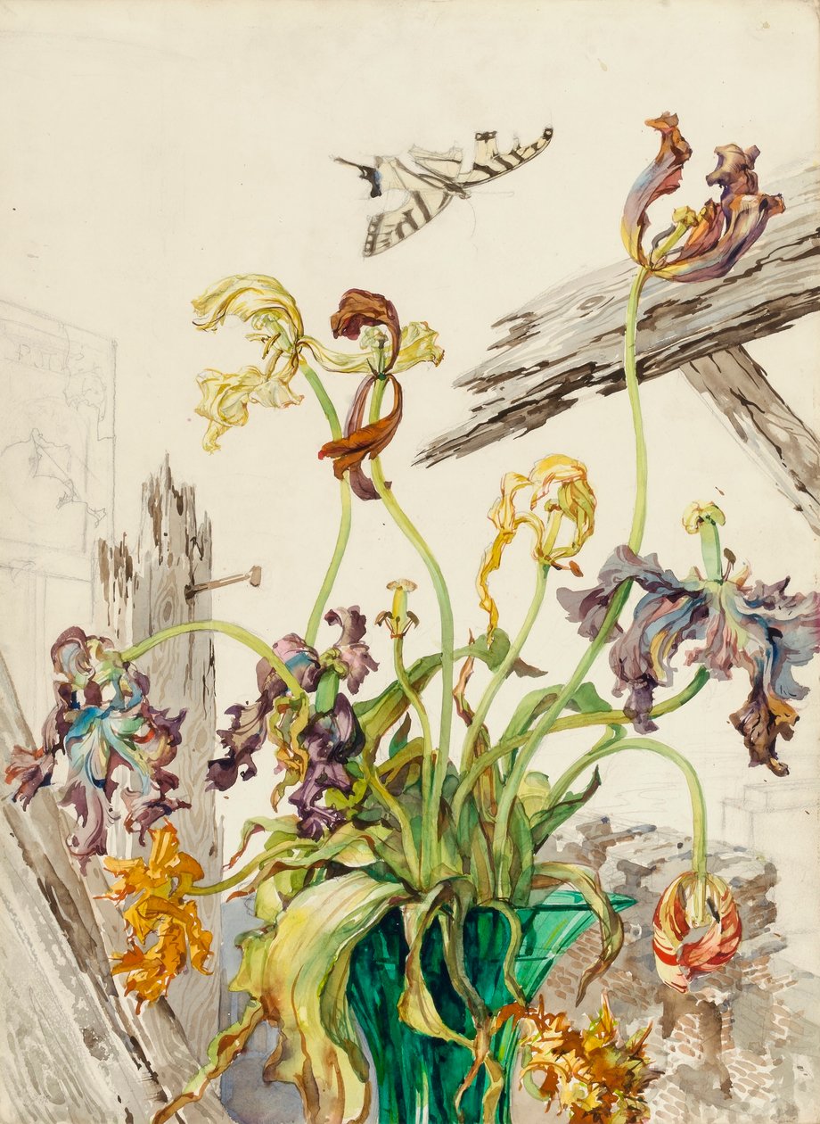 Tulpen von Andrey Avinoff