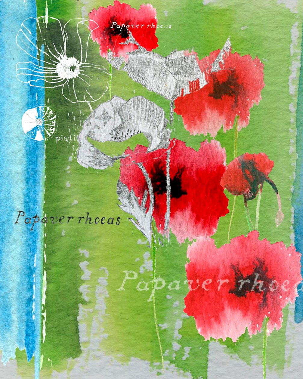 Mohn von Anna Platts