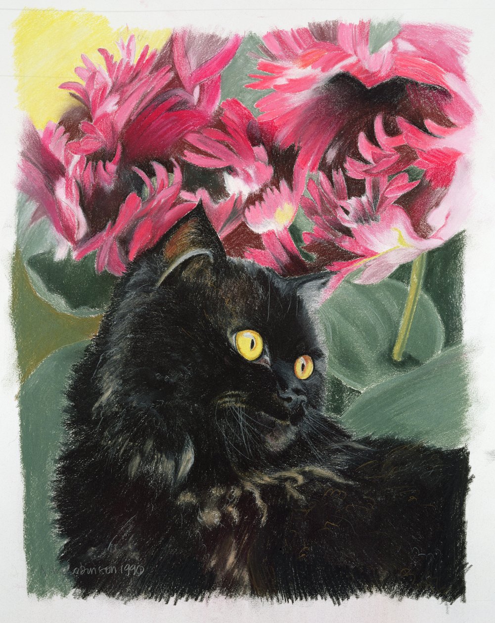 Schwarze Tulpen von Anne Robinson