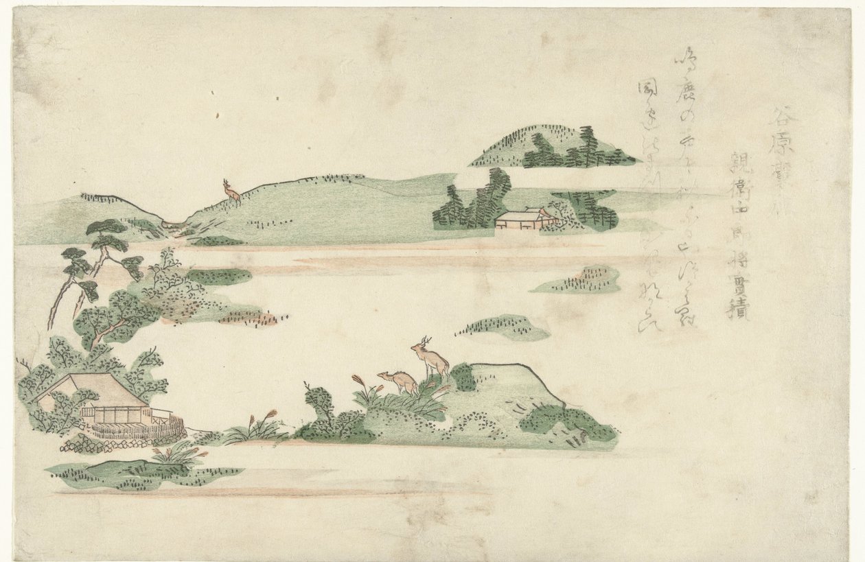 Hirsche in Taniwara von Anonymous