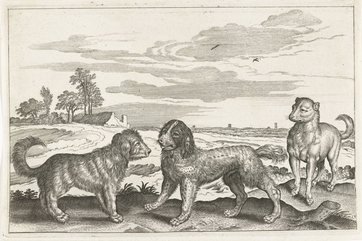 Hunde von Anonymous