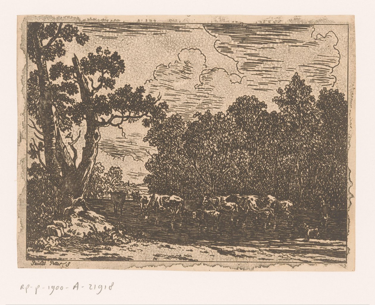 Landschaft mit Vieh von Anonymous