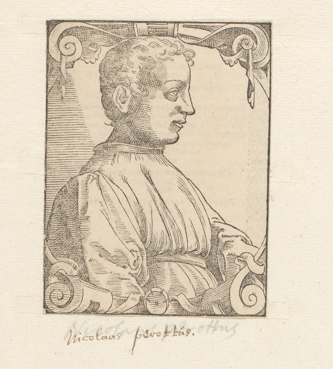 Porträt von Niccolò Perotti von Anonymous