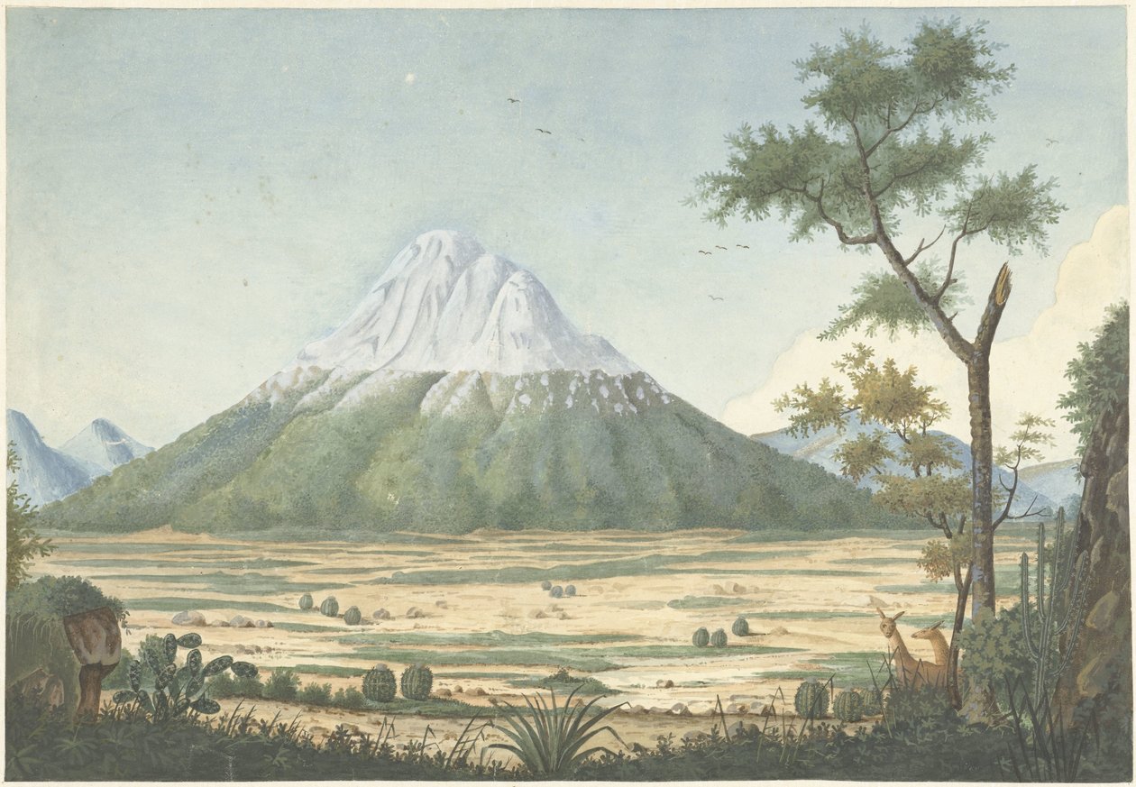 Tropische Landschaft mit Bergen von Anonymous