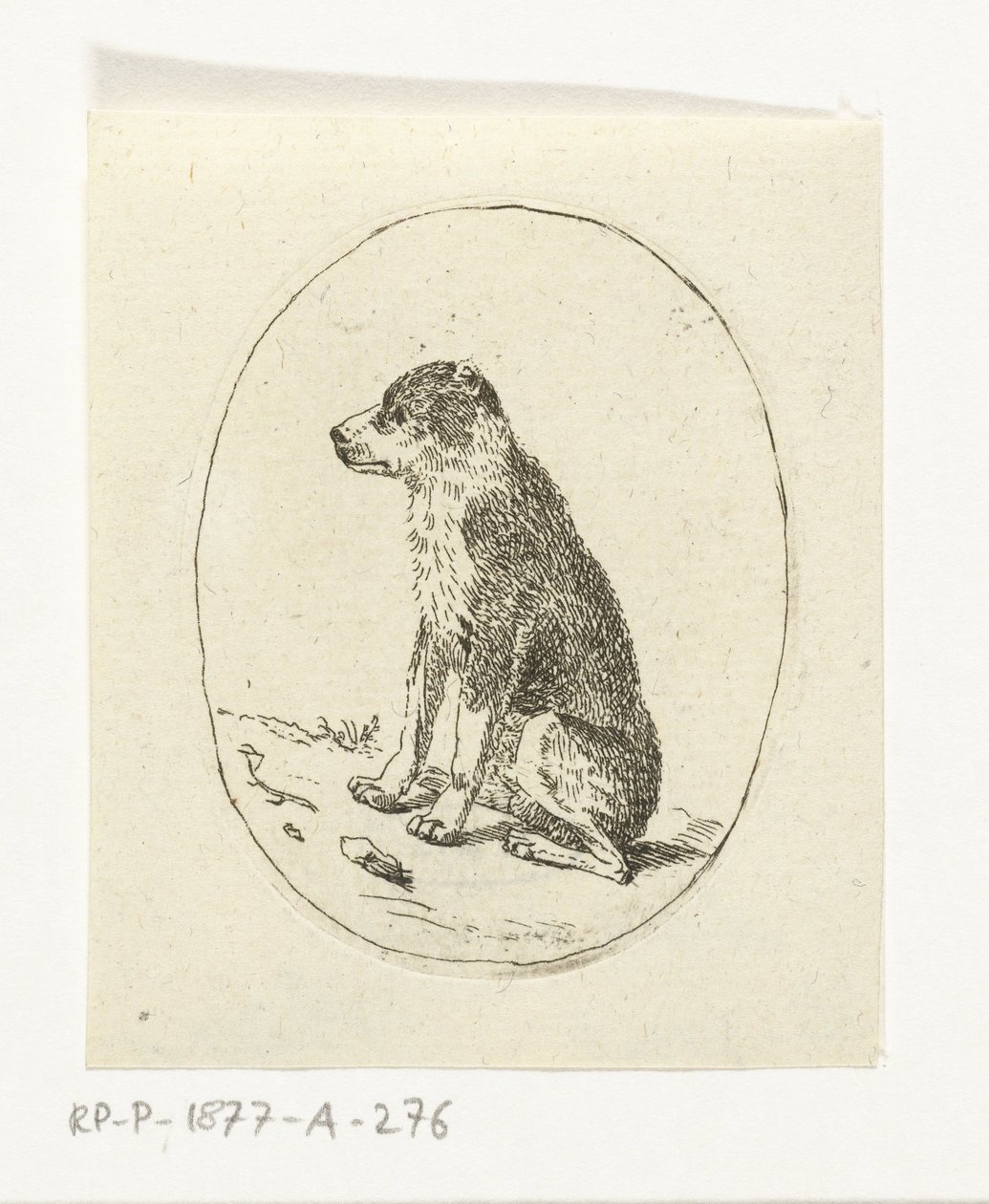 Sitzender Hund von Anthonie van den Bos