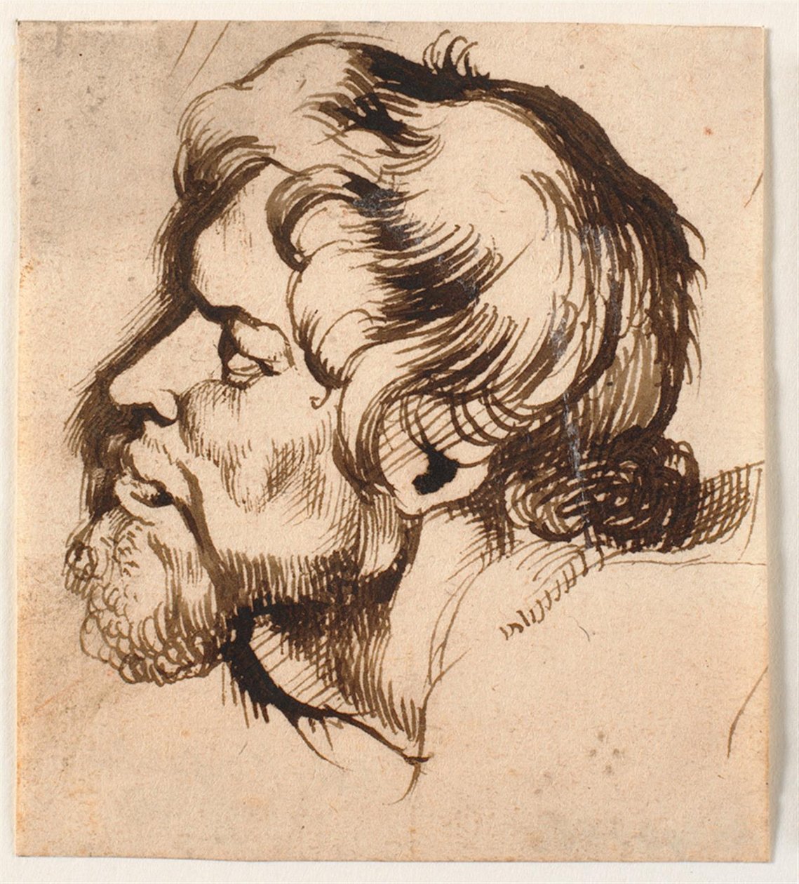 Kopf eines Mannes von Anthony van Dyck