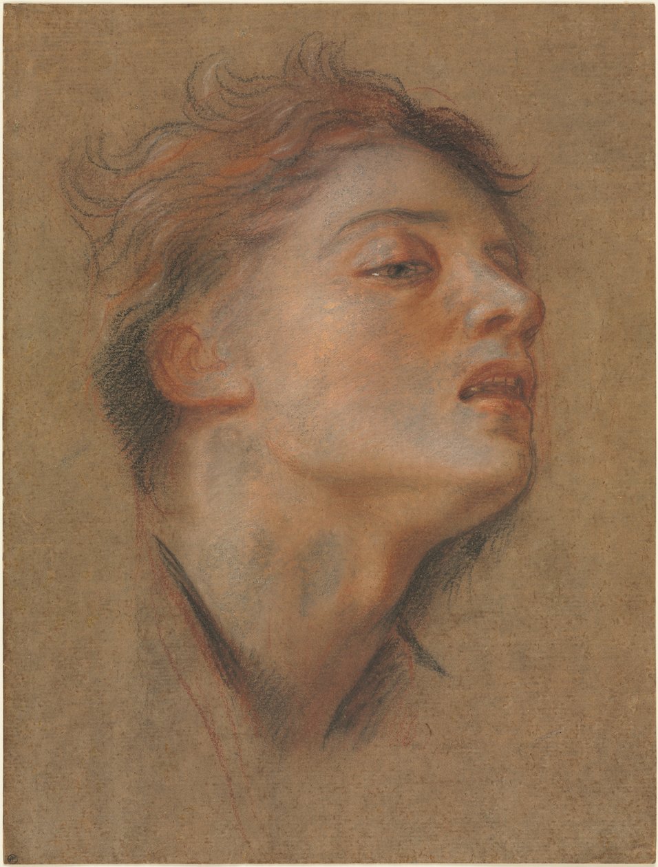 Kopf eines jungen Mannes von Antoine Coypel