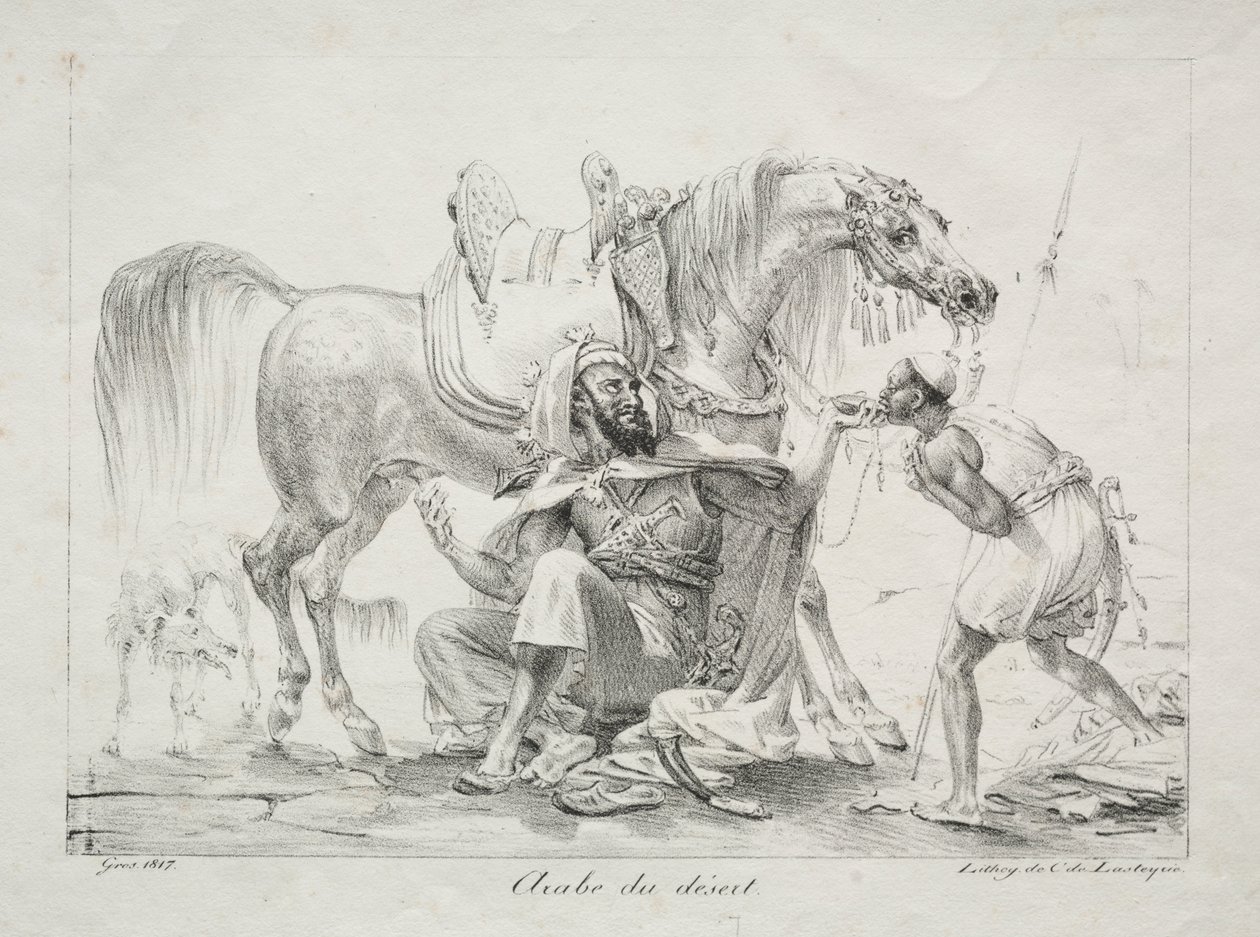 Araber der Wüste von Antoine Jean Gros