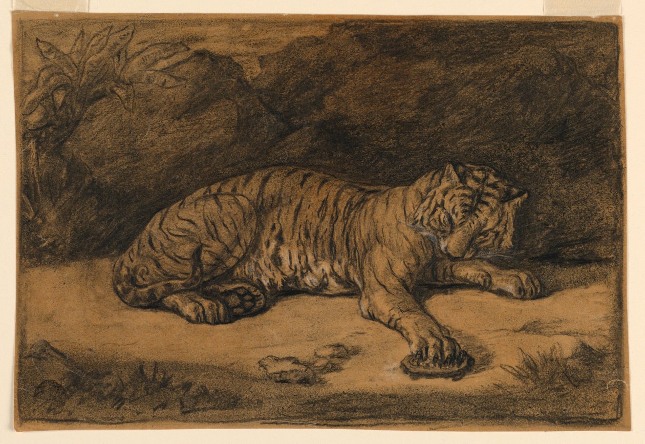 Ein Tiger und eine Schildkröte von Antoine Louis Barye
