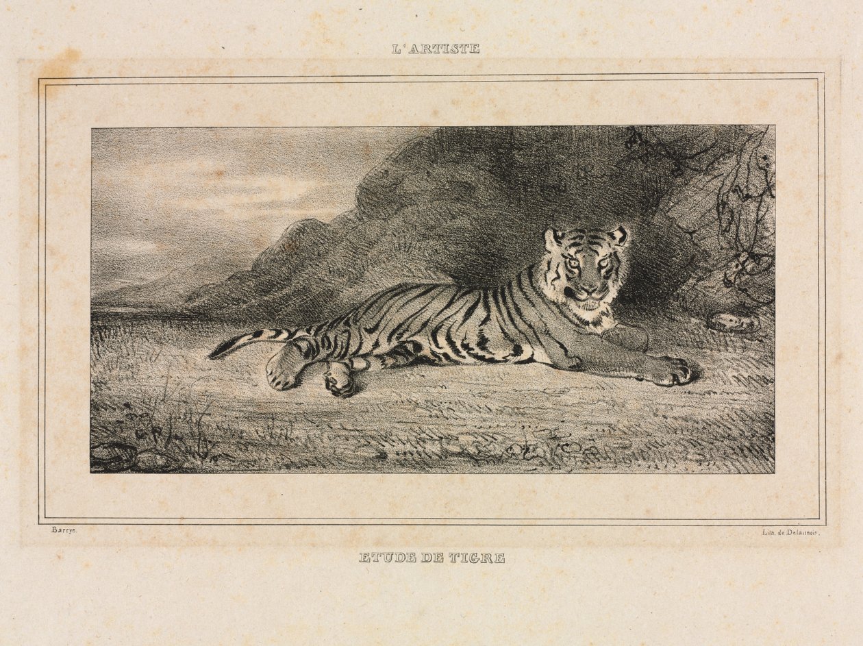 Studie eines Tigers, 1832 von Antoine Louis Barye