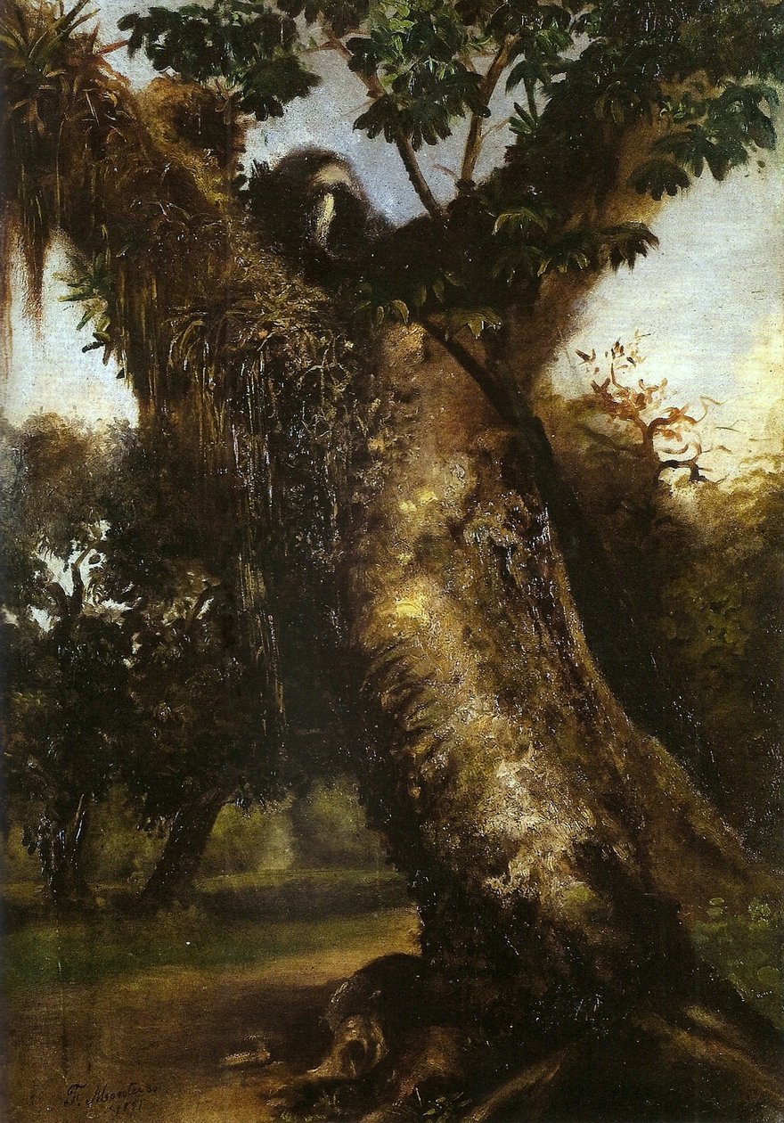 Landschaft von Antonio Firmino Monteiro