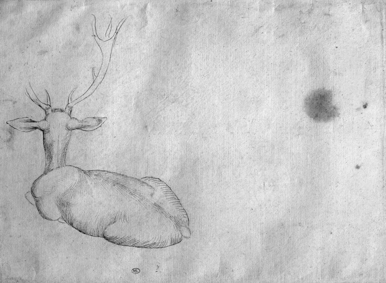Ruhender Hirsch, von hinten gesehen, aus dem Vallardi-Album von Antonio Pisanello