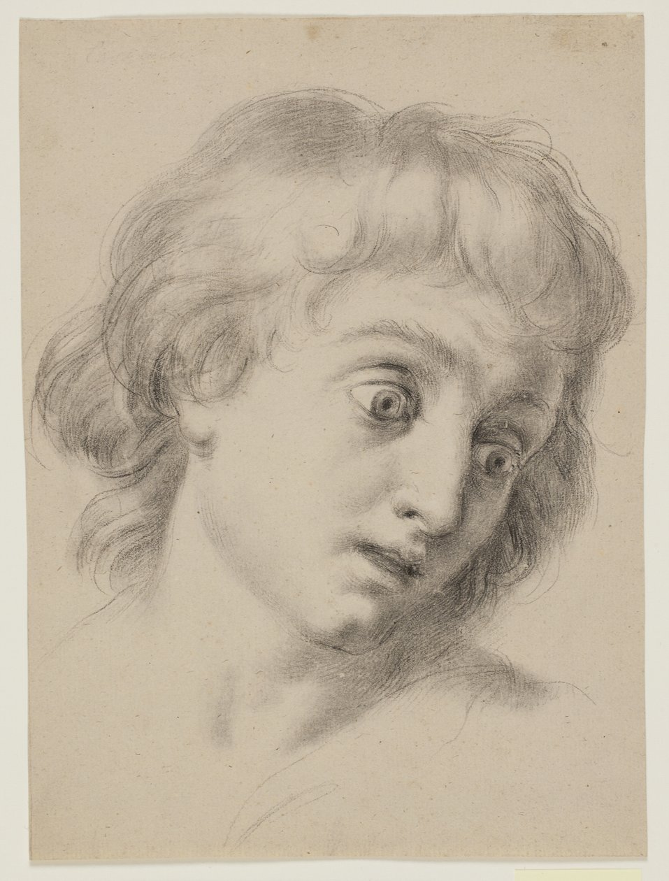 Kopf eines Jungen von Antonio Cavallucci