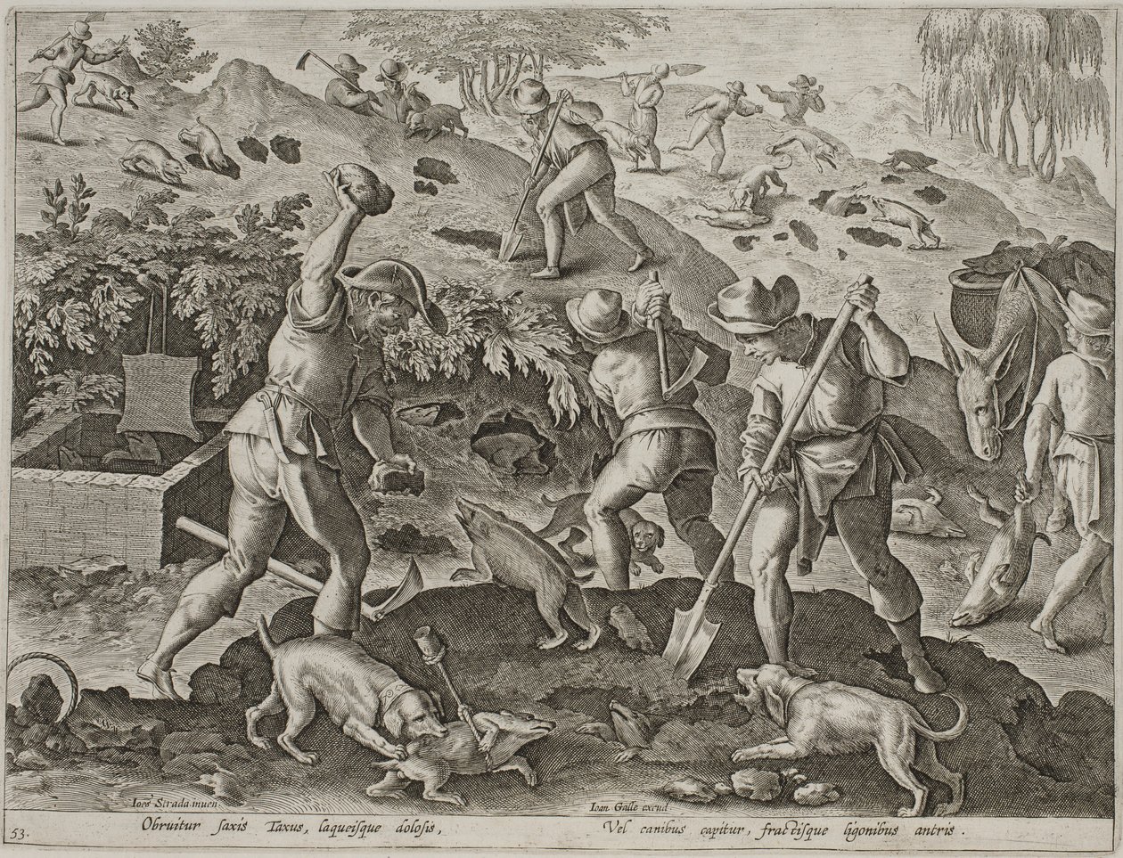 Dachsjagd von Antonius Wierix