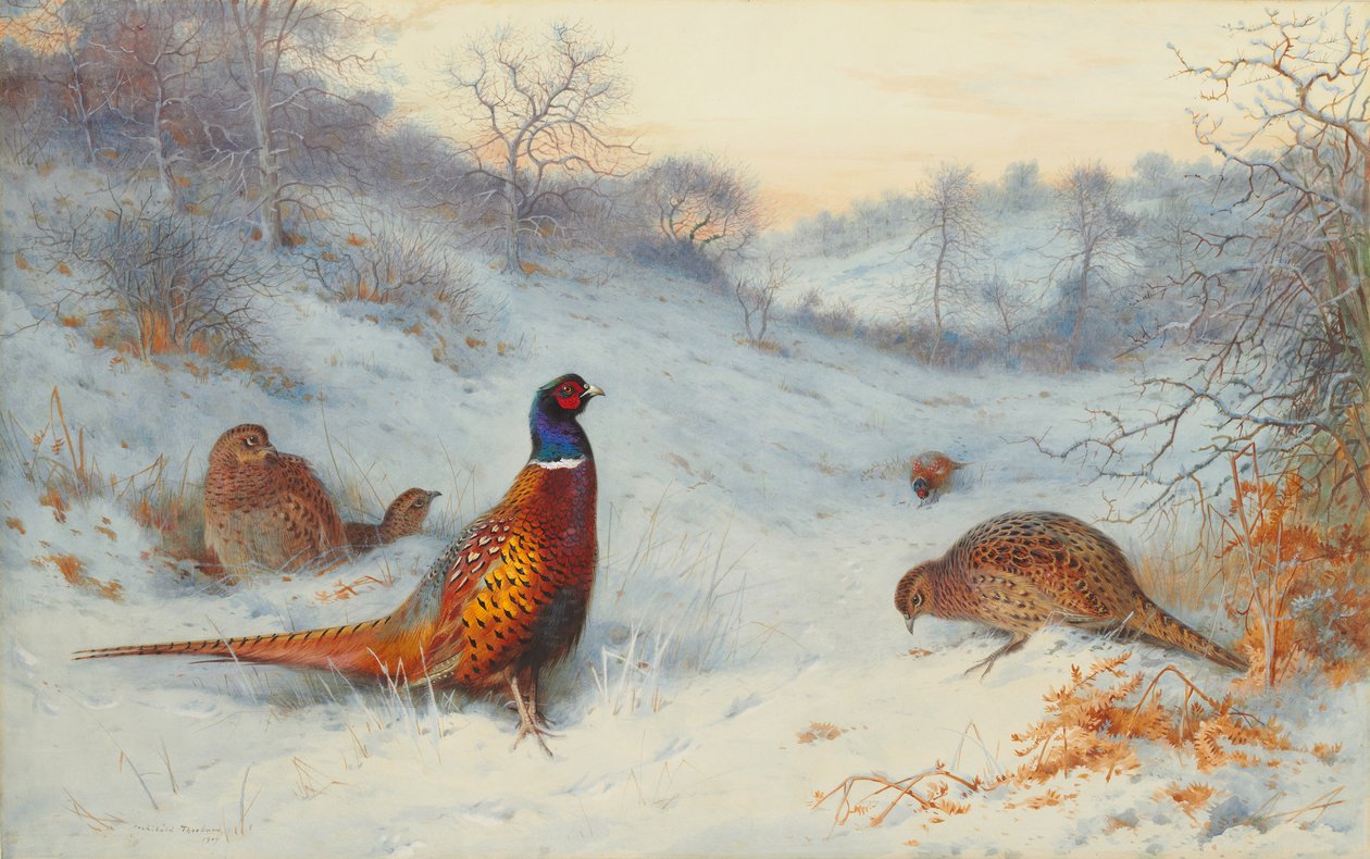 Fasan im Schnee von Archibald Thorburn