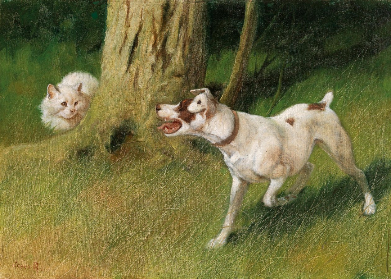 Hund und Katze von Arthur Heyer