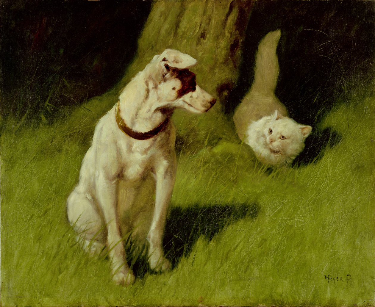 Weiße Perserkatze und Jack Russell von Arthur Heyer