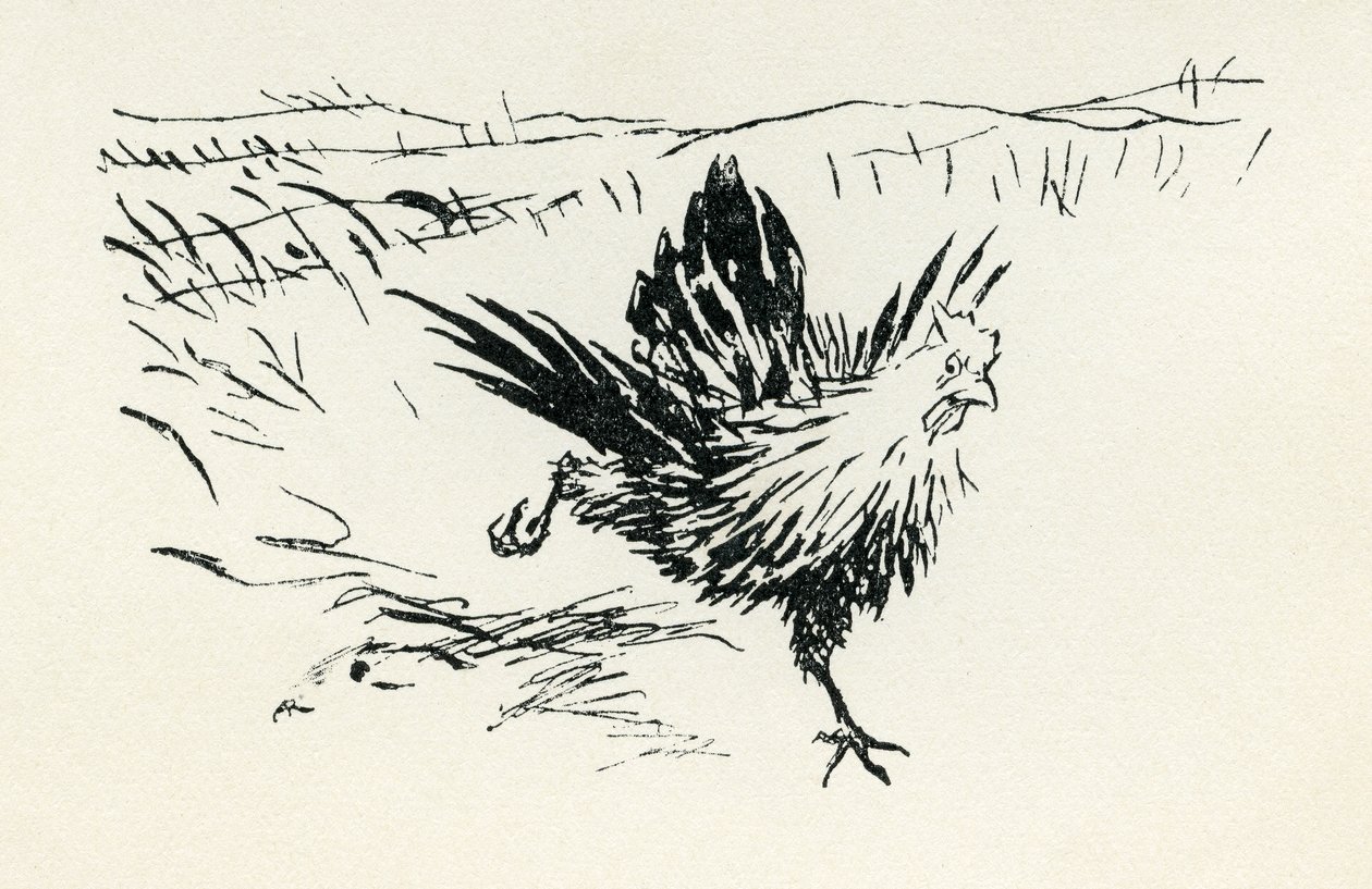 Henny-Penny von Arthur Rackham