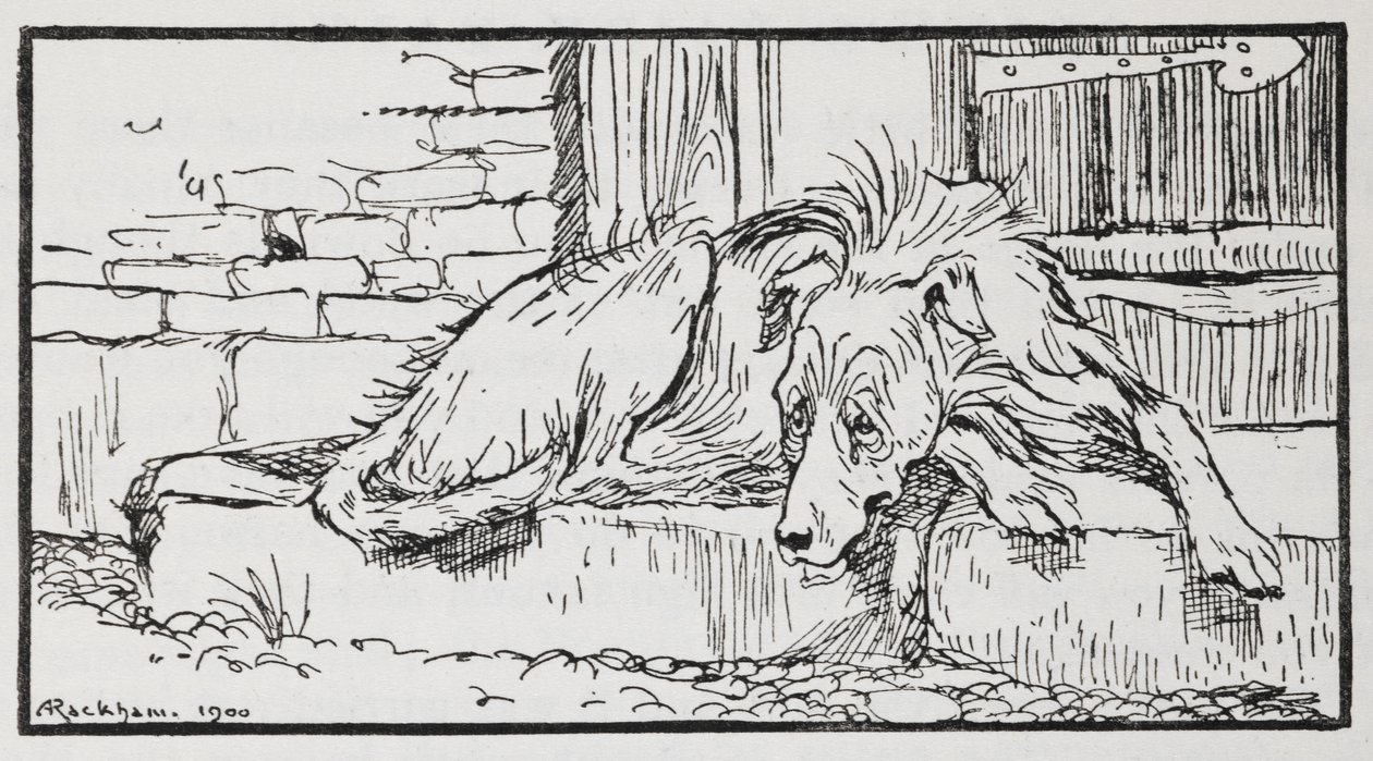 Illustration eines Hundes aus Der alte Sultan von Arthur Rackham