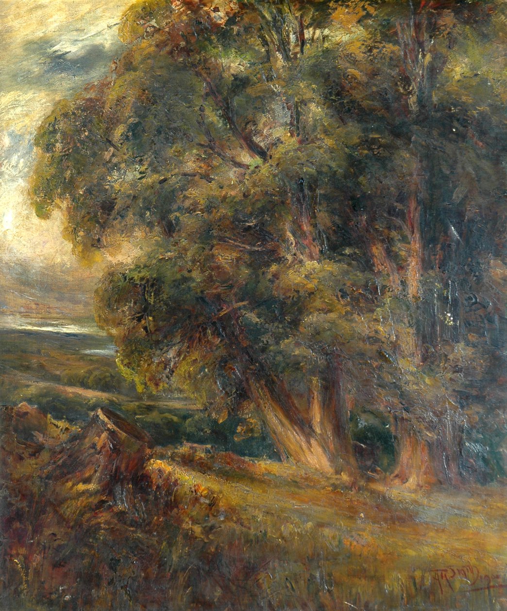 Baumstudie von Arthur Reginald Smith
