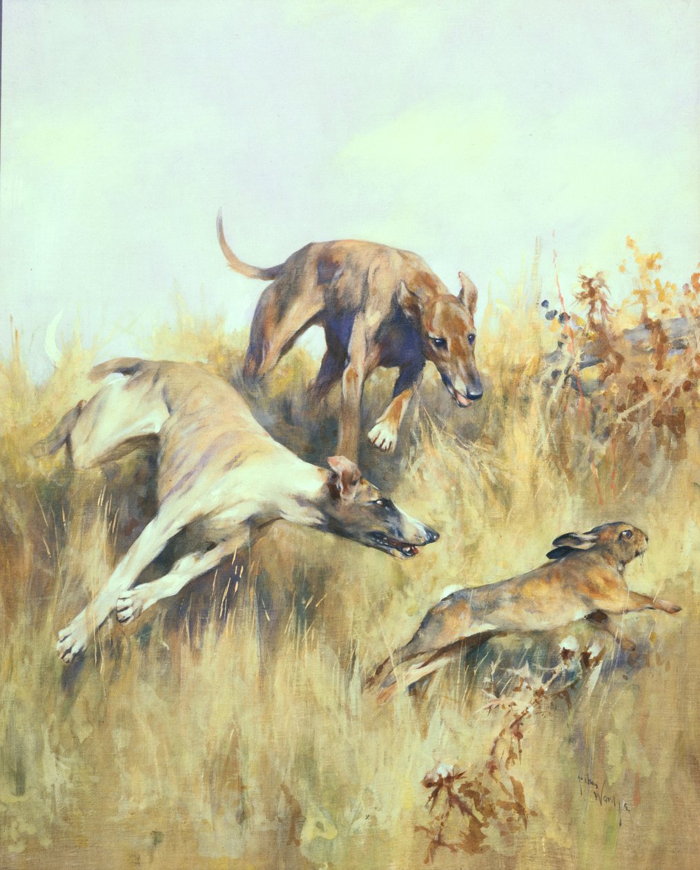 Windhunde auf der Jagd von Arthur Wardle