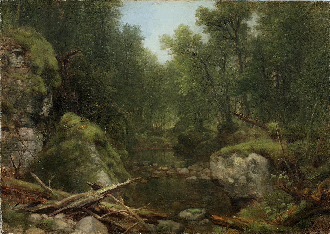 Chapel Pond Brook, Keene Flats, Adirondack Mountains, N.Y., 1870 von Asher Brown Durand