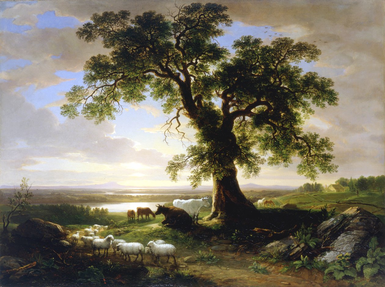 Die einsame Eiche Die alte Eiche, 1844 von Asher Brown Durand