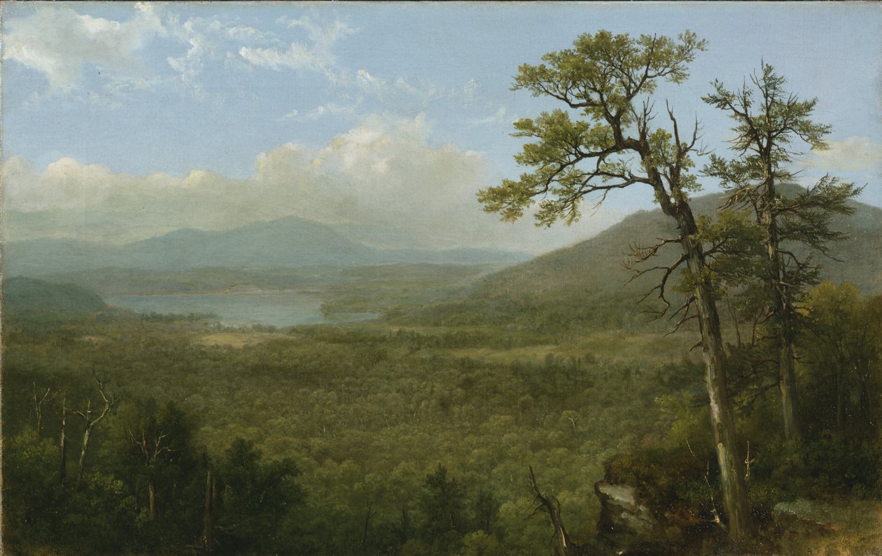 Adirondack Mountains, N.Y., 1870 von Asher Brown Durand