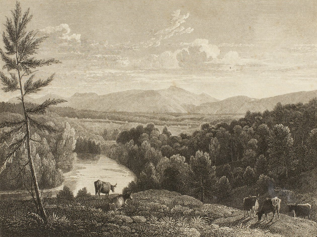 Catskill Mountains von Asher Brown Durand