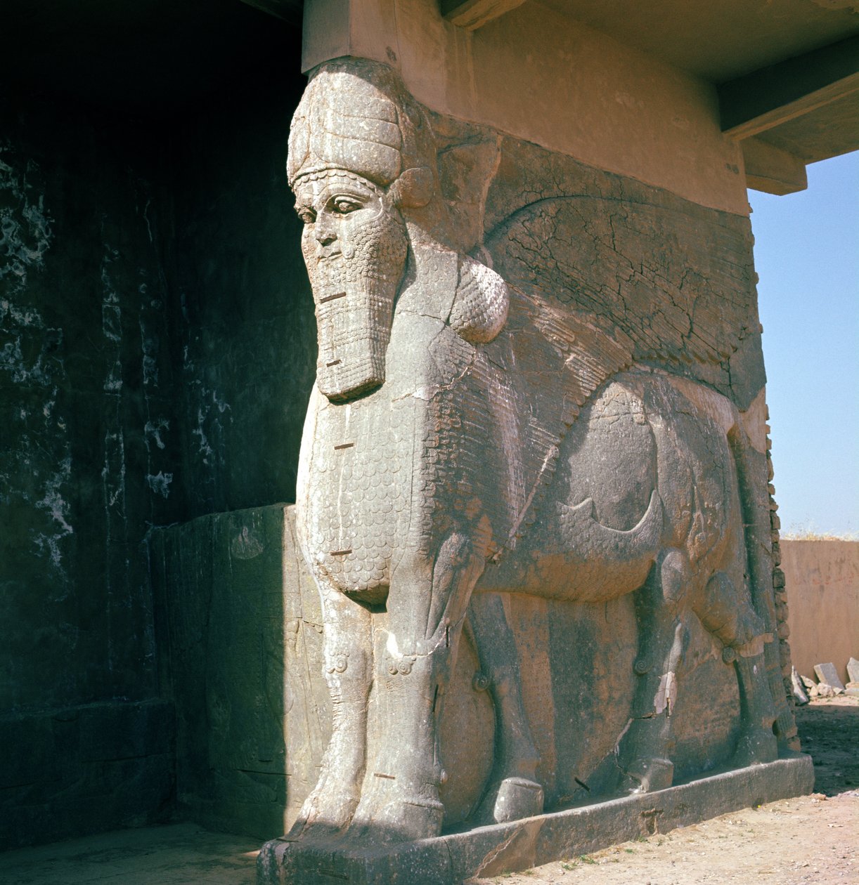 Geflügelter menschlicher Stierkopf, Neuassyrische Periode, Herrschaft von Ashurnasirpal II (Alabaster) von Assyrian