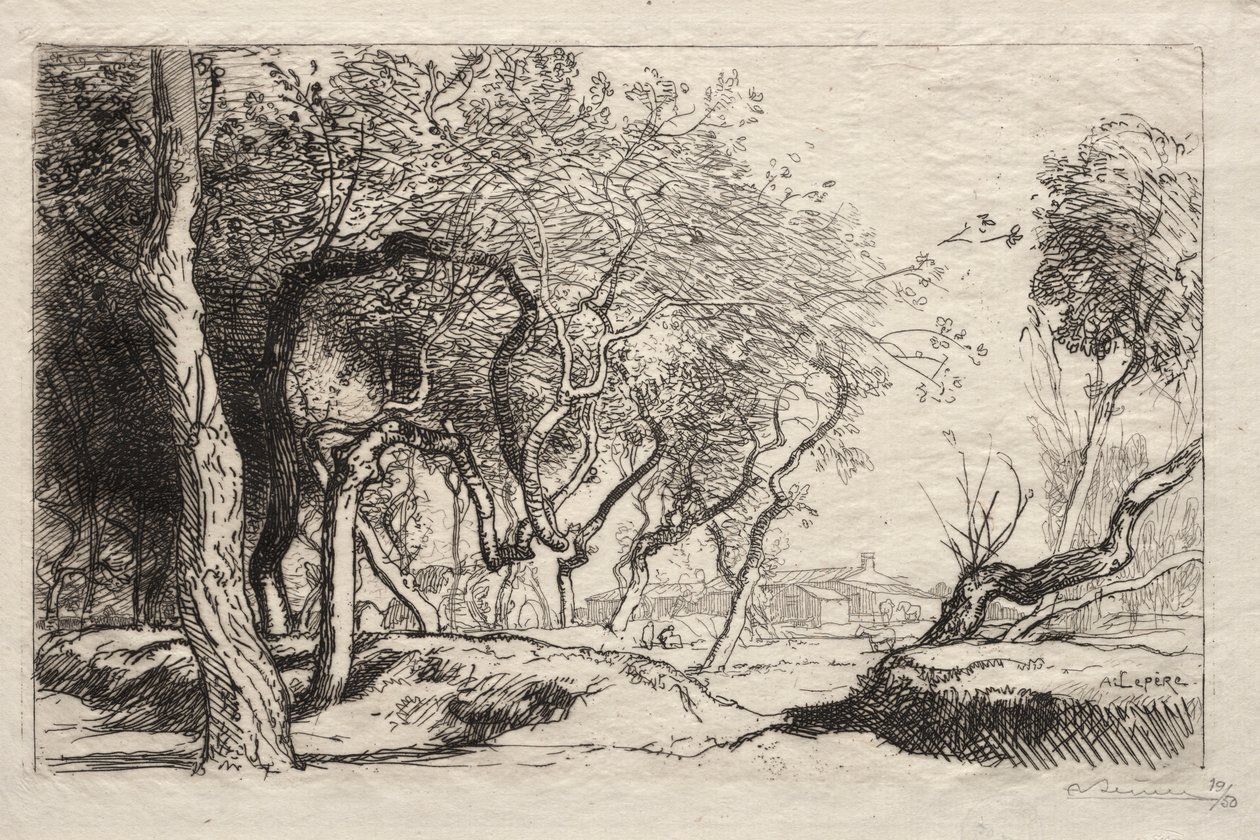Der verdrehte Baum, 1915 von Auguste Louis Lepère