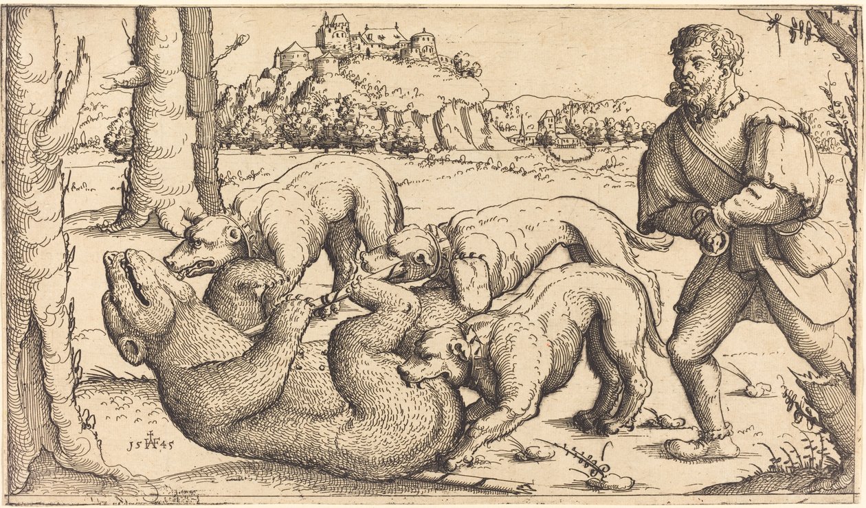 Bärenjagd von Augustin Hirschvogel