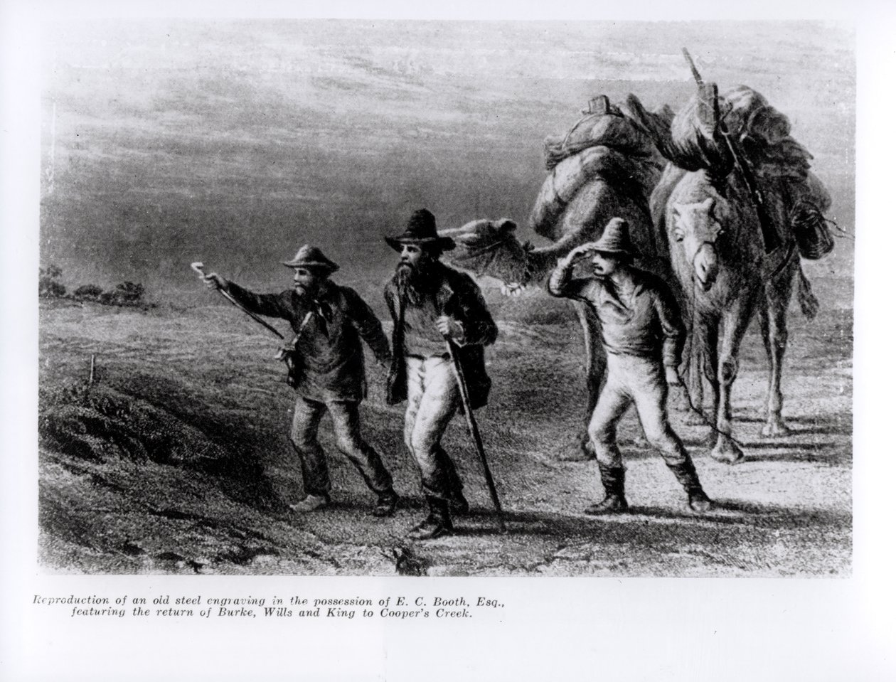 Die Rückkehr von Burke, Wills und King nach Cooper