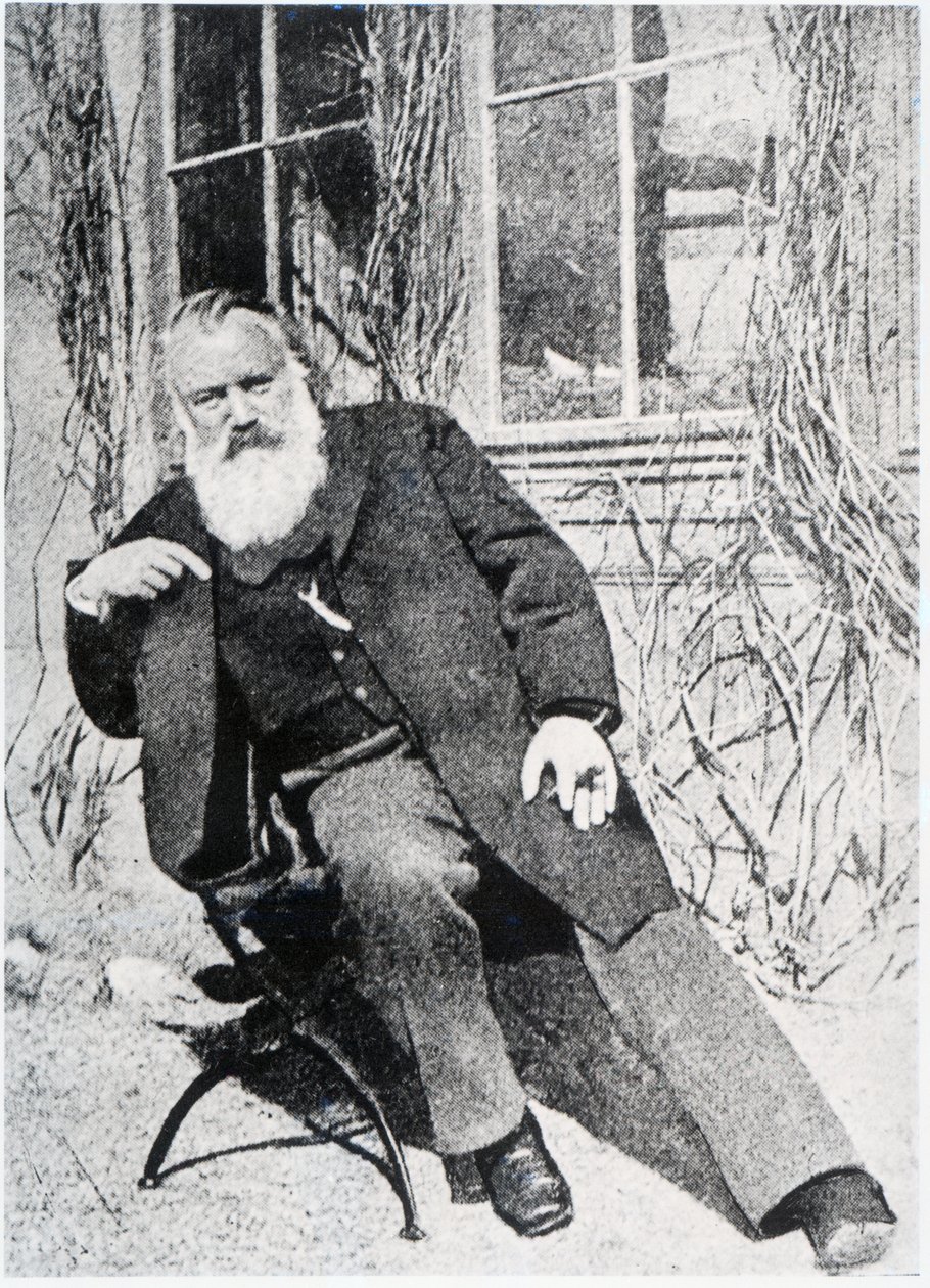 Johannes Brahms, ca. 1897 von Austrian Photographer