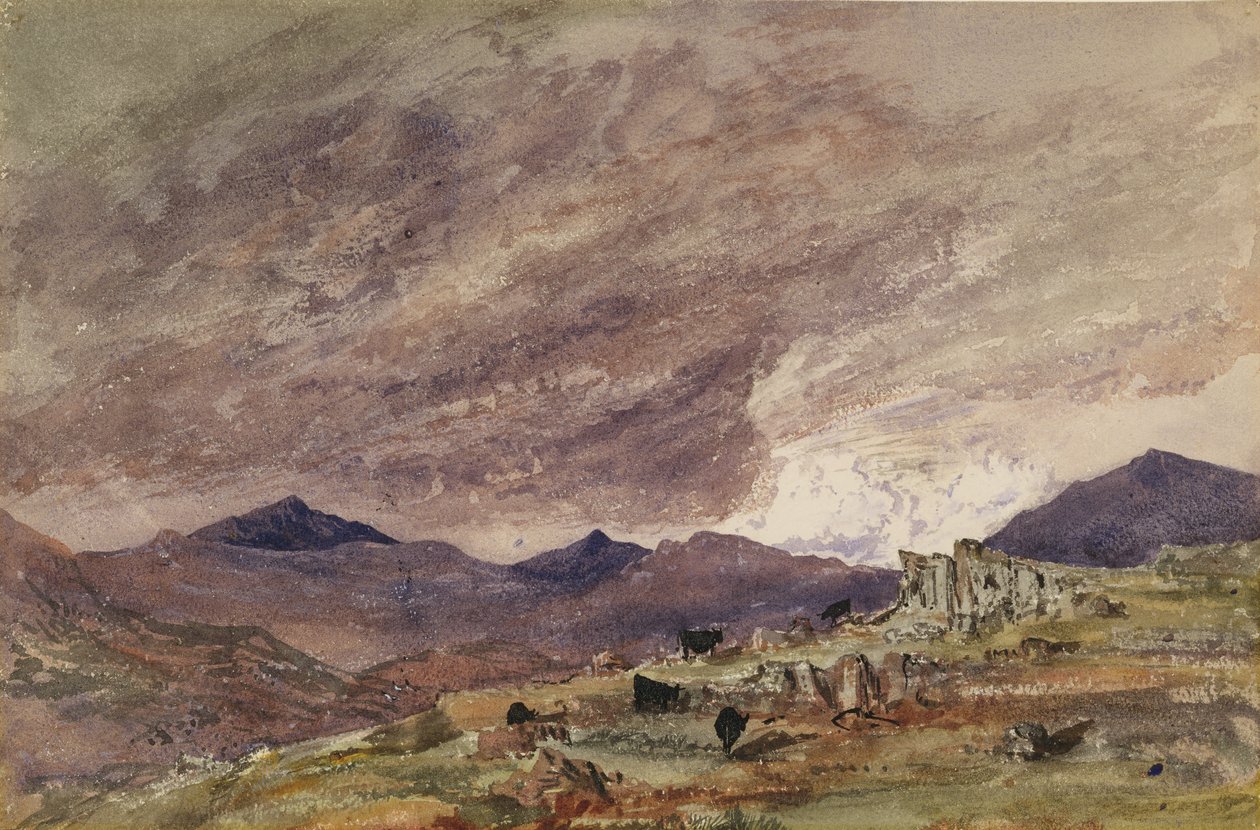 Gebirgige Landschaft mit stürmischem Himmel von Barbara Leigh Smith Bodichon
