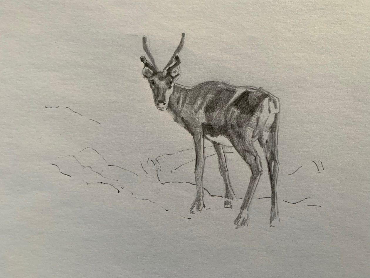 Rentier, 2019 von Barbara Hoogeweegen