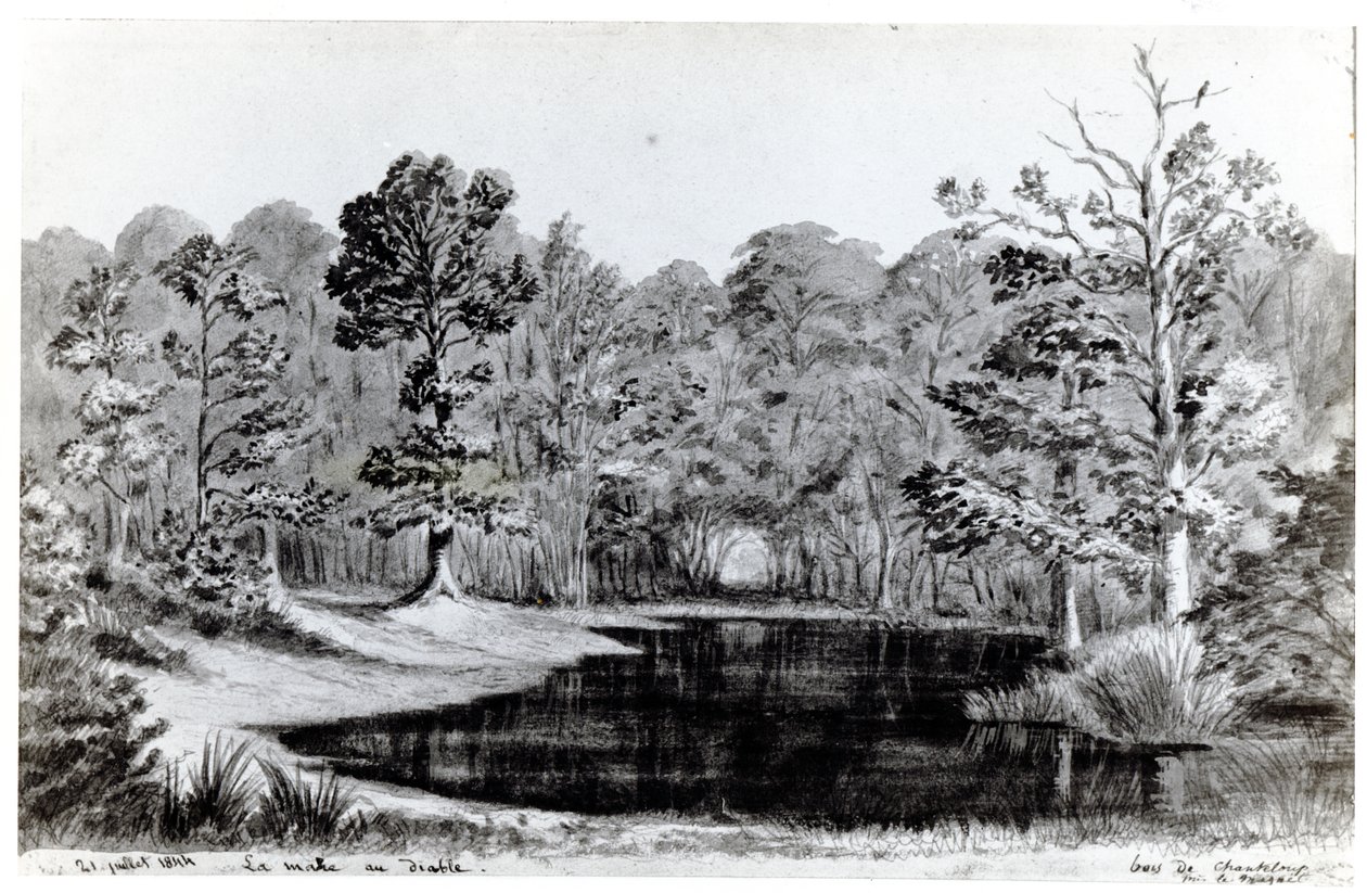 Der Teufelspool im Bois de Chanteloup, 1844 von Maurice Sand