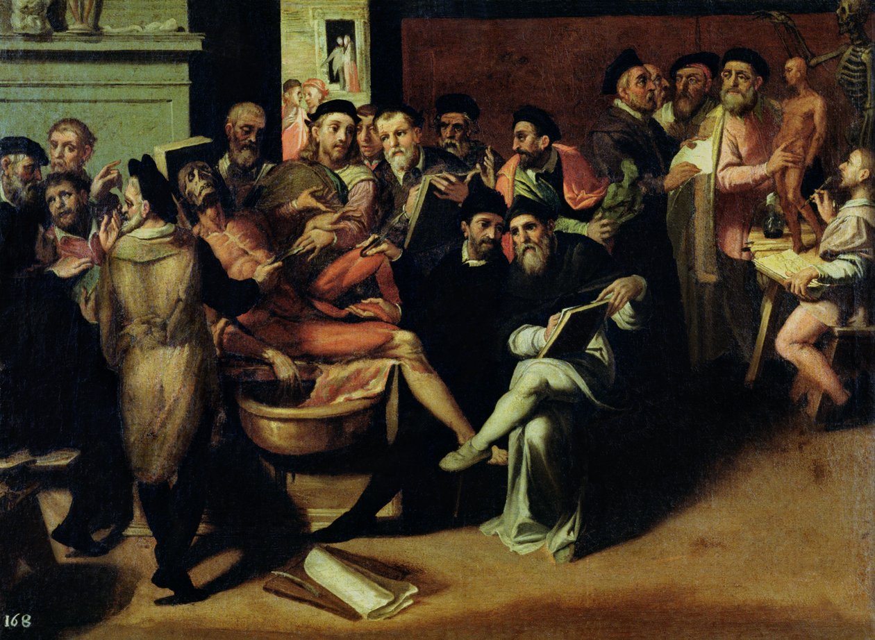 Eine Anatomie-Lektion für Künstler von Bartolomeo Passarotti