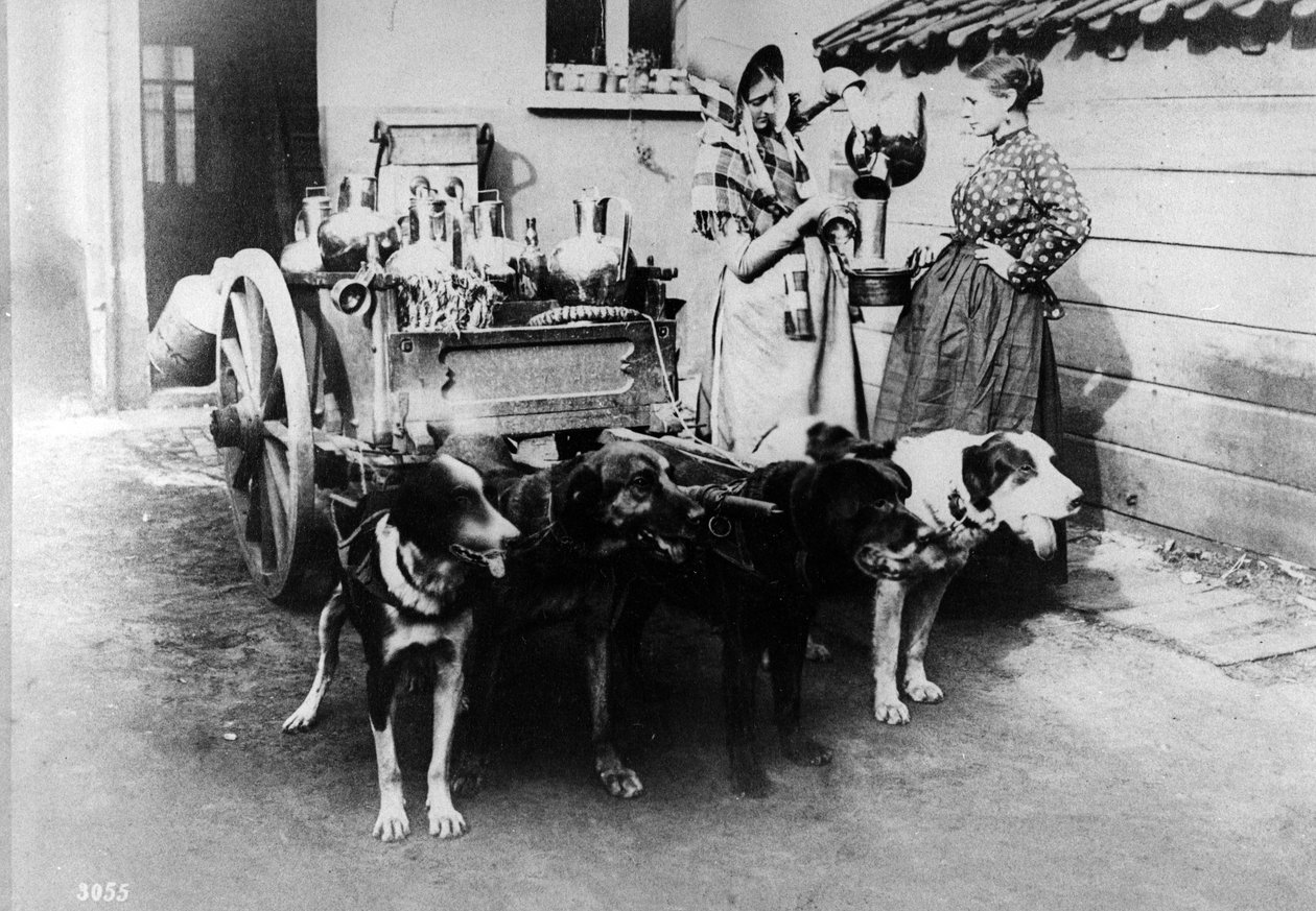 Ein Hundewagen verkauft Milch in Brüssel, ca. 1890er von Belgian Photographer