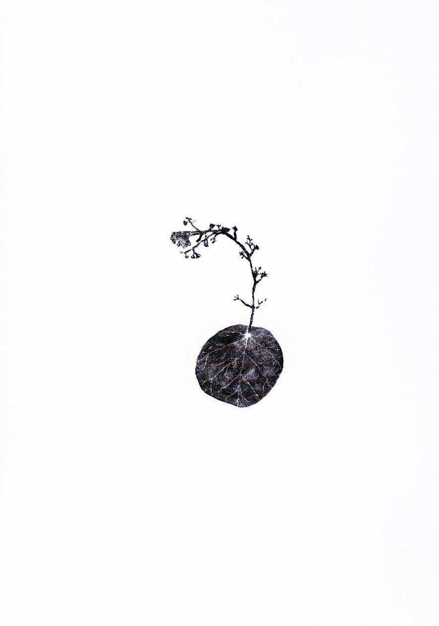 Schlepper, 2014 von Bella Larsson