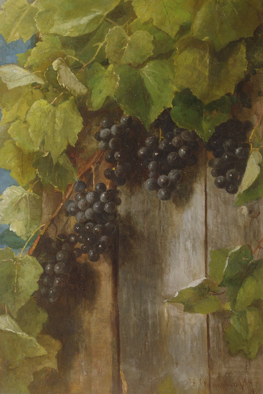 Eine fruchtende Rebe, 1889 von Benjamin Champney