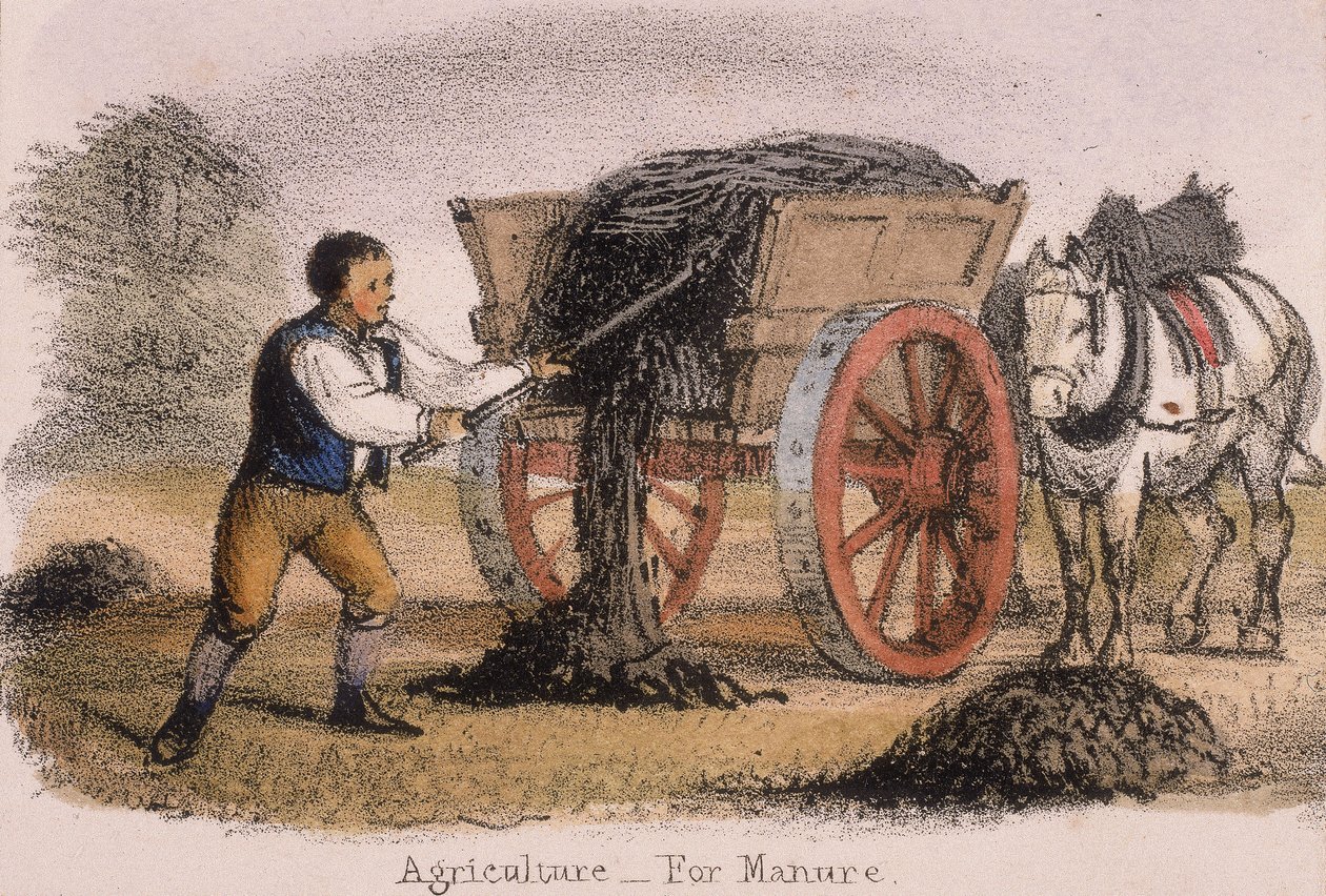Landwirtschaft, für Dünger, um 1845 von Benjamin Waterhouse Hawkins