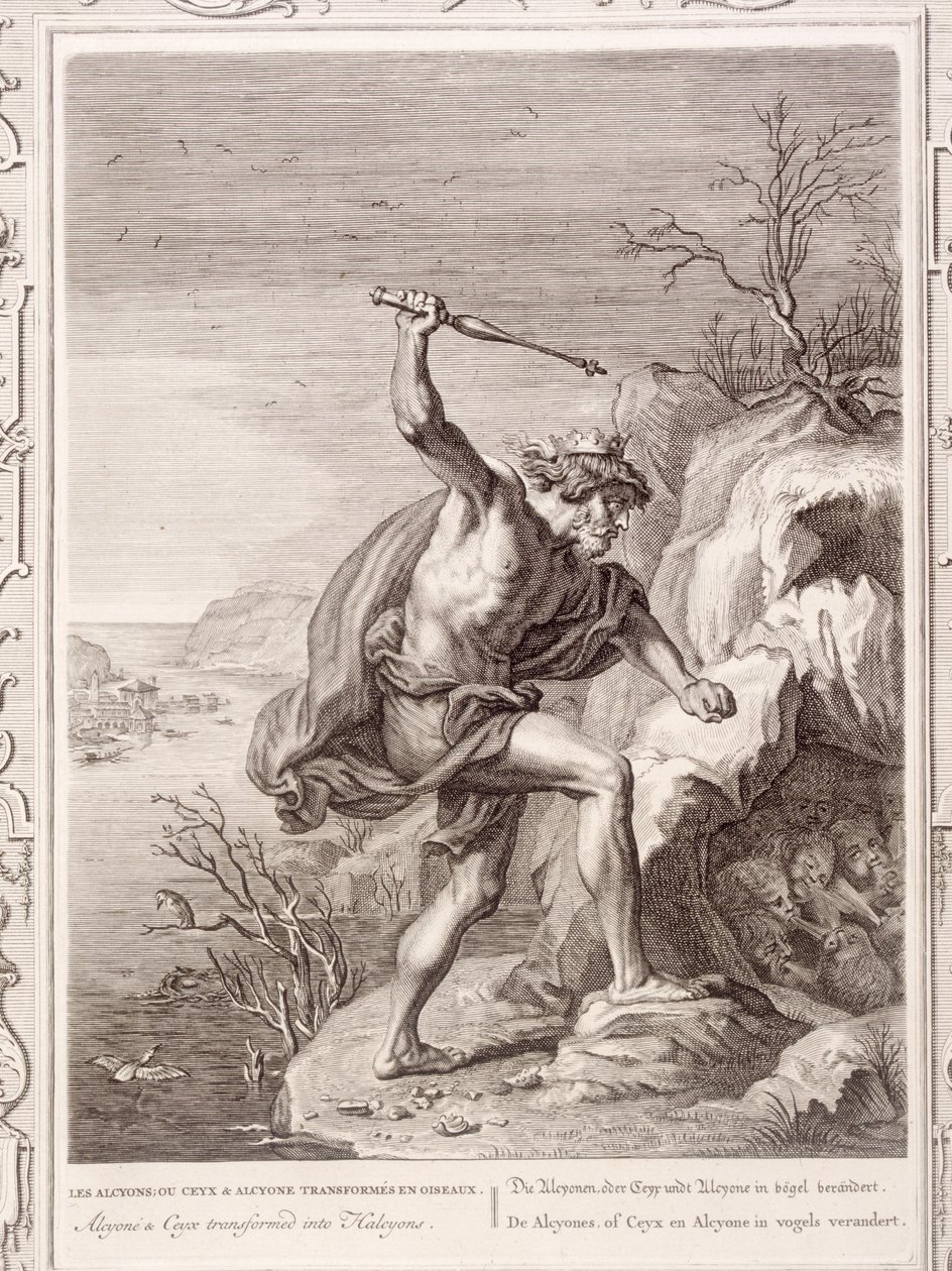 Alcyone und Ceux verwandelt in Vögel von Bernard Picart