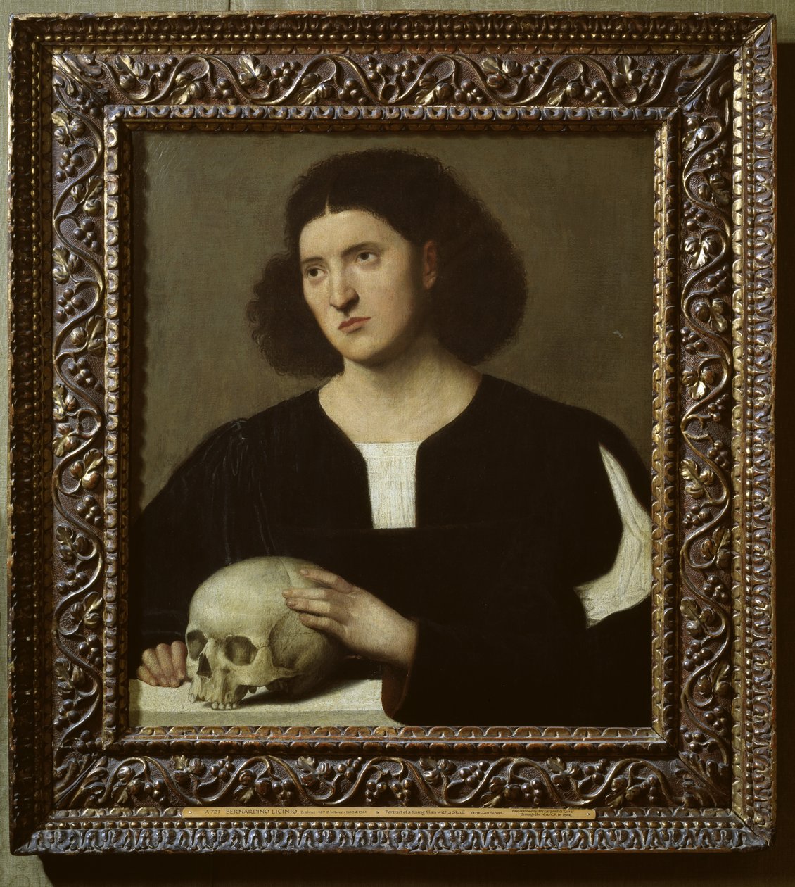 Porträt eines jungen Mannes mit einem Schädel, 17. Jahrhundert von Bernardino Licinio