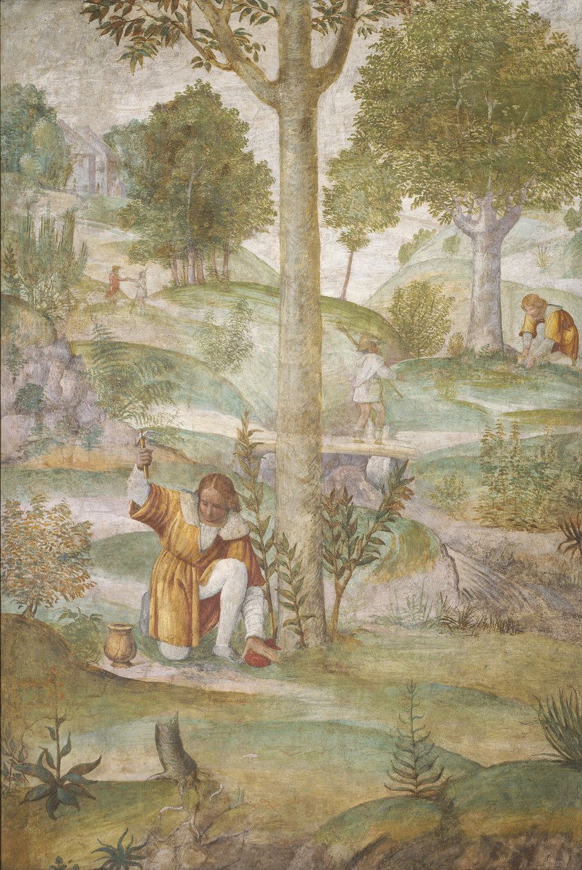 Cephalus versteckt die Juwelen, ca. 1520-1522 von Bernardino Luini