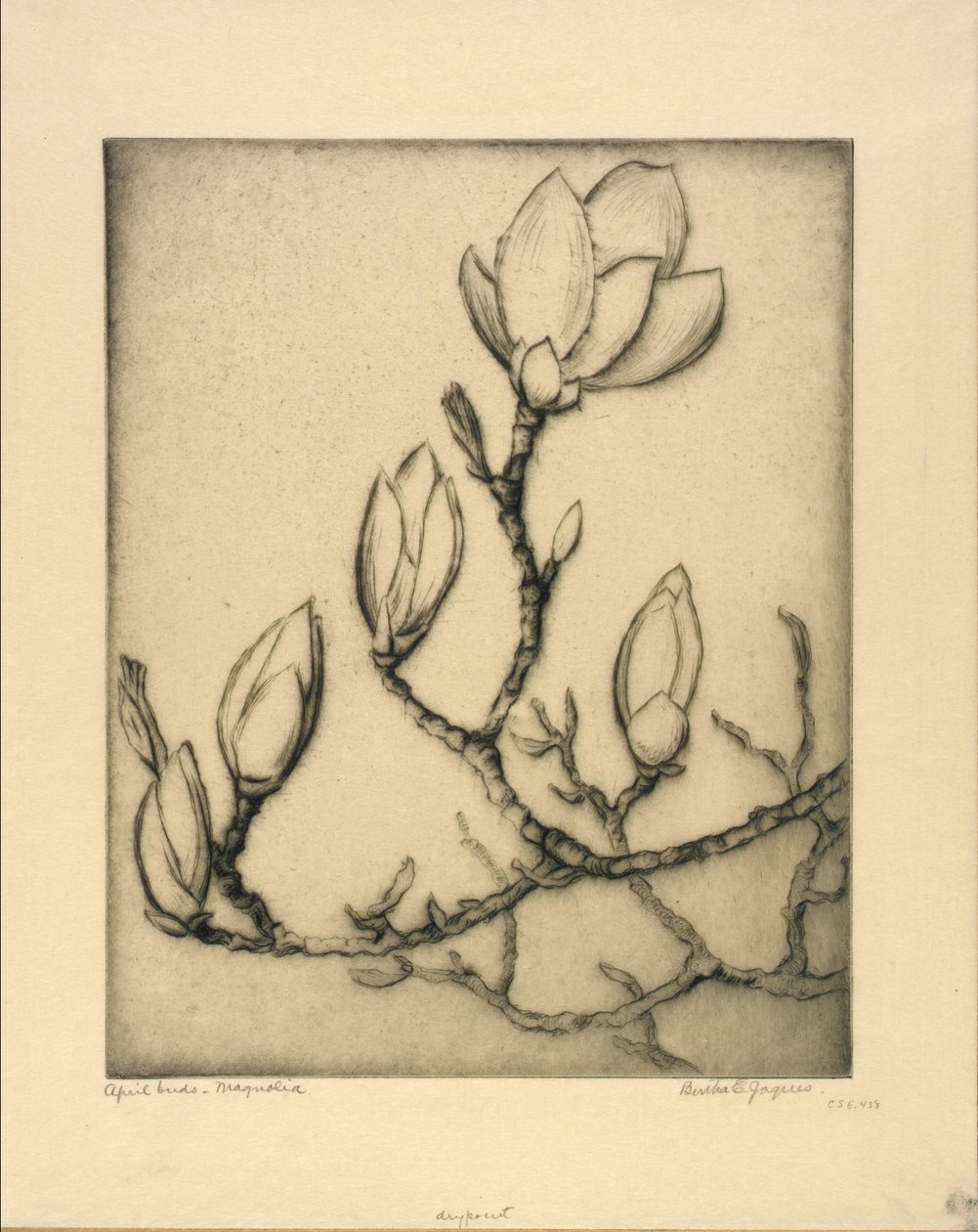 Aprilknospen - Magnolie von Bertha E. Jaques