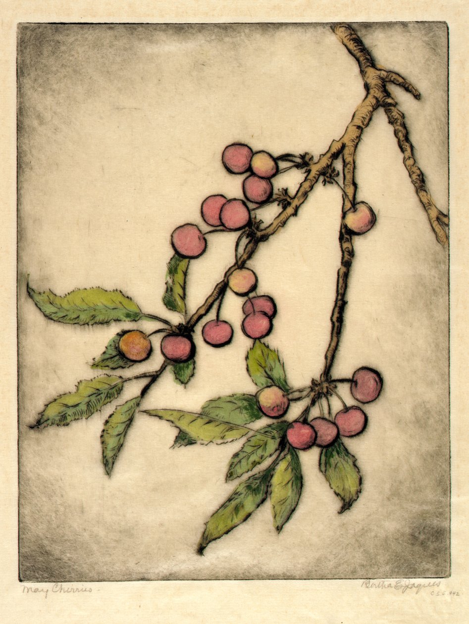 Mai-Kirschen von Bertha E. Jaques