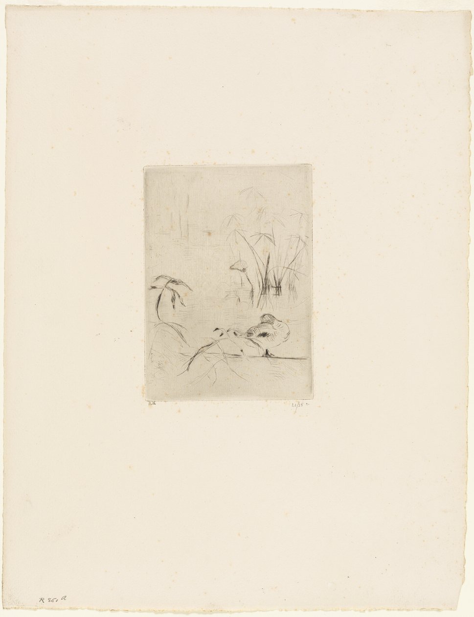 Die Ente von Berthe Morisot