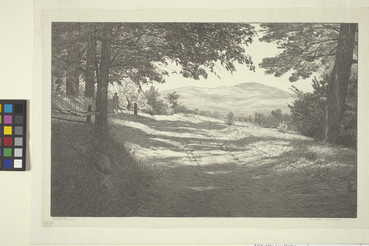 Nordansicht von Bolton Coit Brown